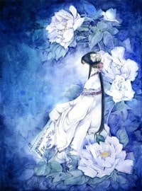 神奇宝贝H2章节